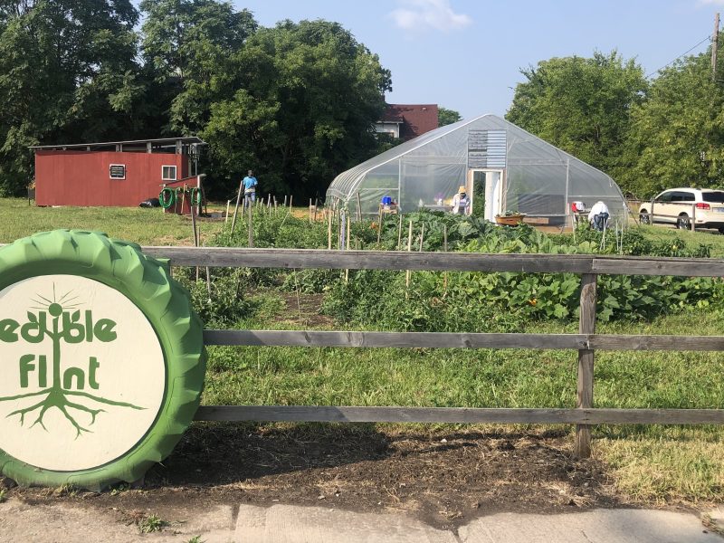 Edible Flint's Educational Farm is located near 12th and Beach streets in Flint.