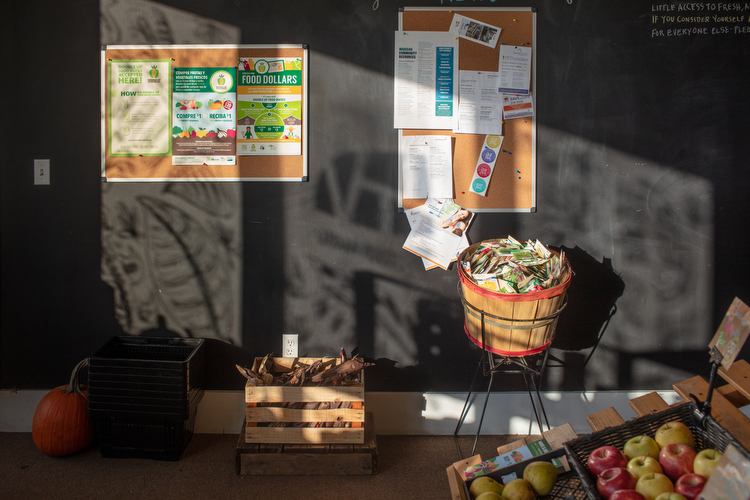 When we recognize that food is medicine, we are more intentional in our choices, says Patrice Brown, food access manager at Detroit's Eastern Market Corporation. Photo of Urban Roots by Adam Bird.