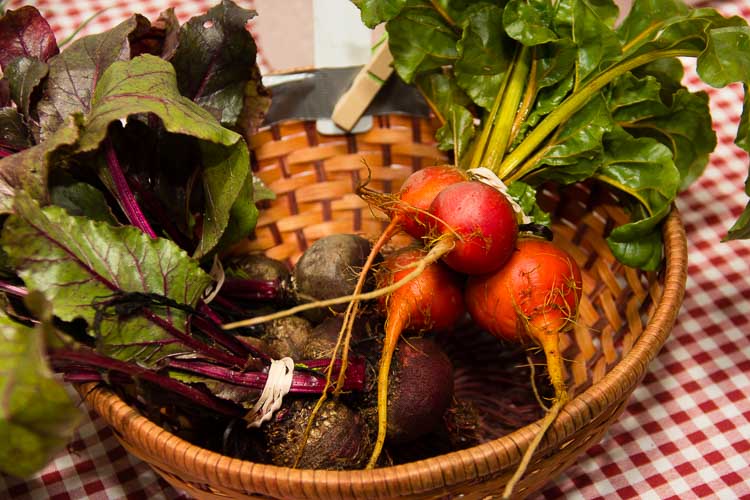 Education and marketing are key ingredients in increasing access to healthy foods for people in Washington Heights, Battle Creek.
