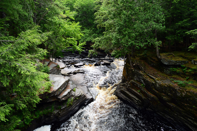 Photo by Mark Wedel.