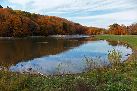 The Earl Bales Stormwater Management Pond creates an ecological landscape feature to protect the West Don River. Source: City of Toronto