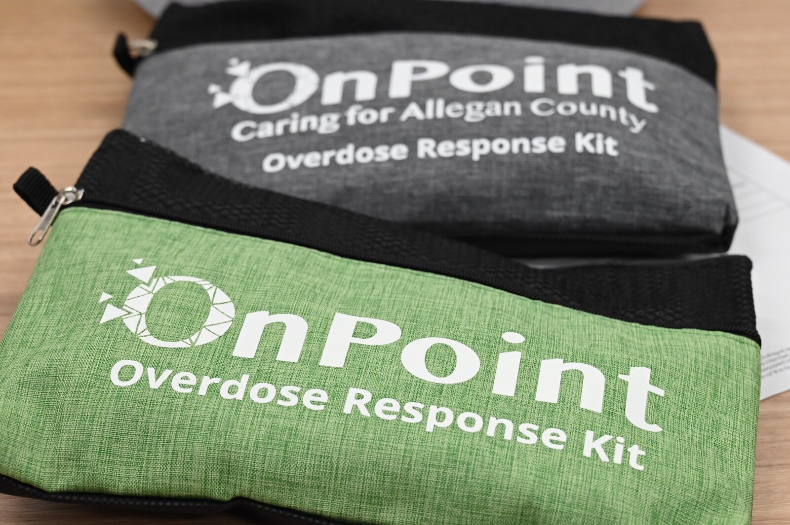 Proposed funding cuts would dismantle critical services for Michiganders facing poverty, mental illness, or substance use disorders. 