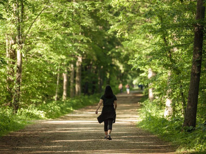 A hiker at Independence Oaks in Clarkston.