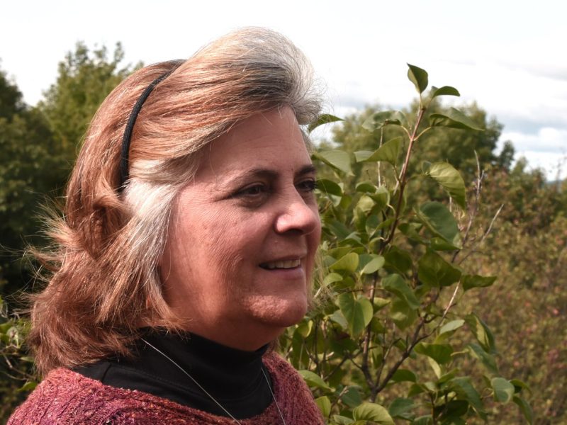 Lisa Del Buono, physician advocate for Michigan Clinicians for Climate Action.