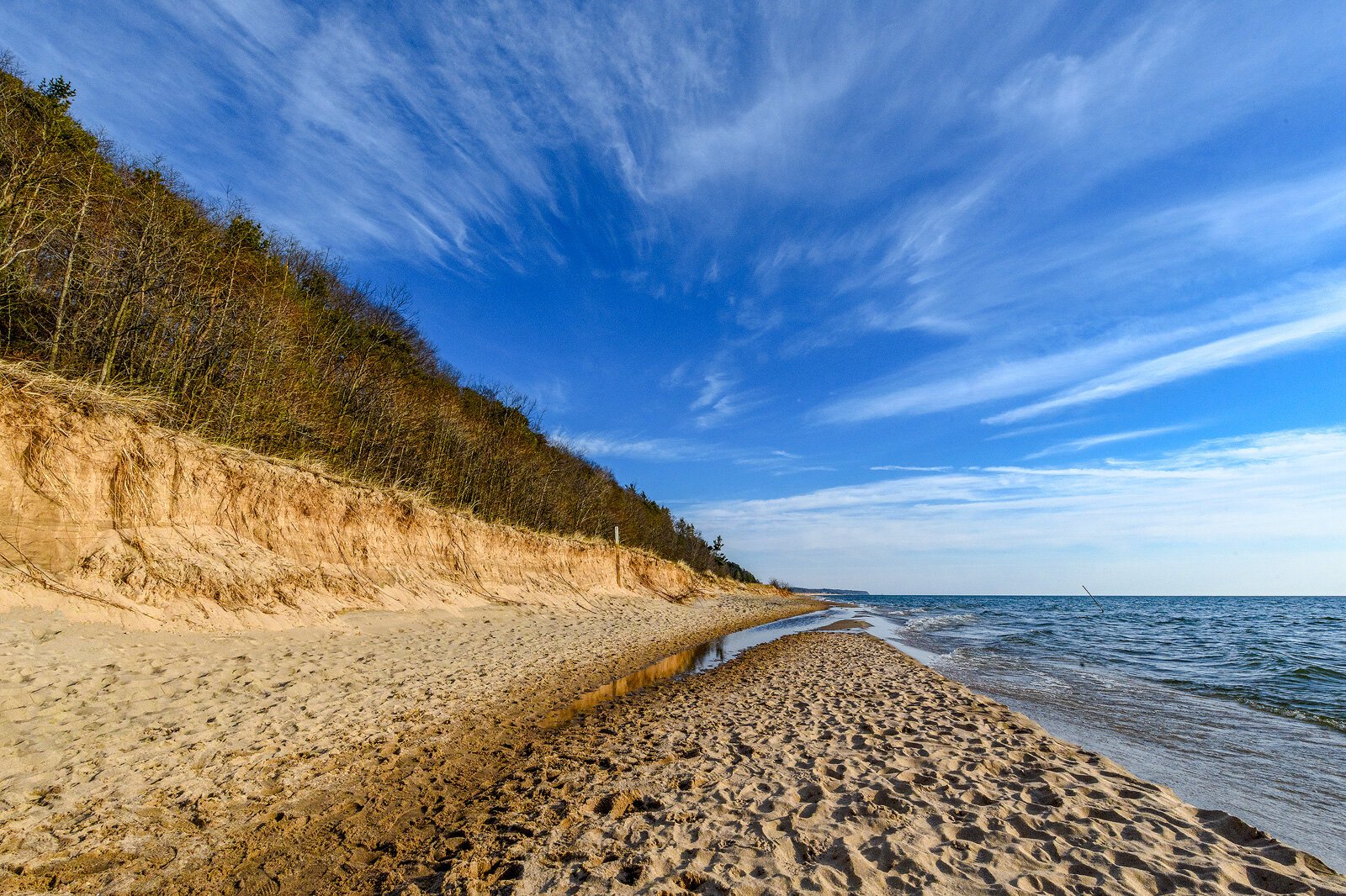 Saugatuck Dunes State Park. Photo by Doug Coombe.
