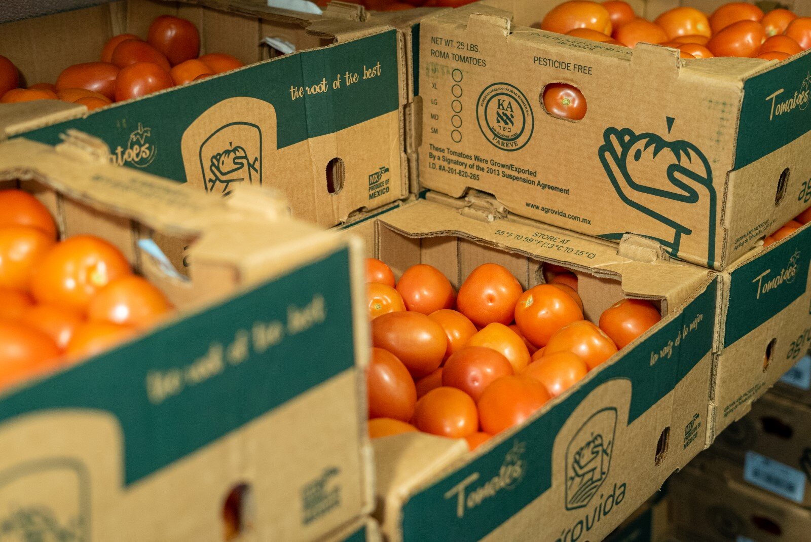 Rescued produce at Hidden Harvest.