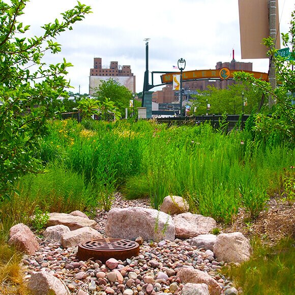 A bioswale being utilized to manage water runoff