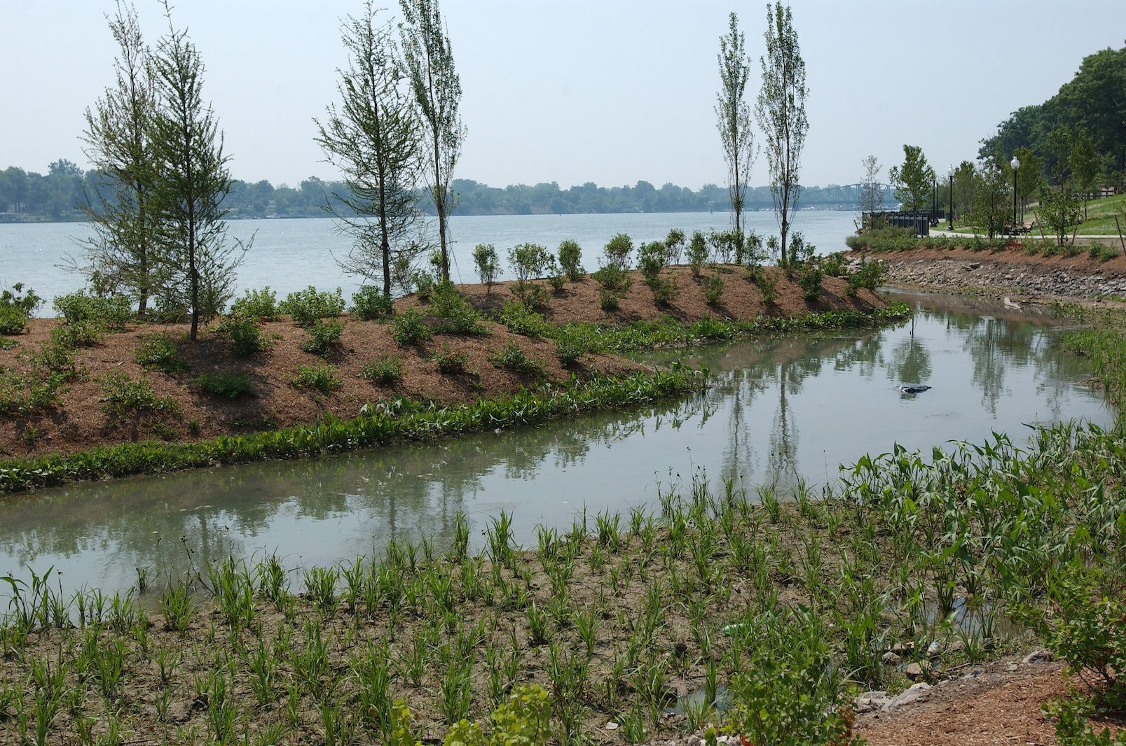 Native plants and earthen solutions were used to create a natural buffer on the banks of the Detroit River at Elizabeth Park in Wayne County. Courtesy Michigan Sea Grant