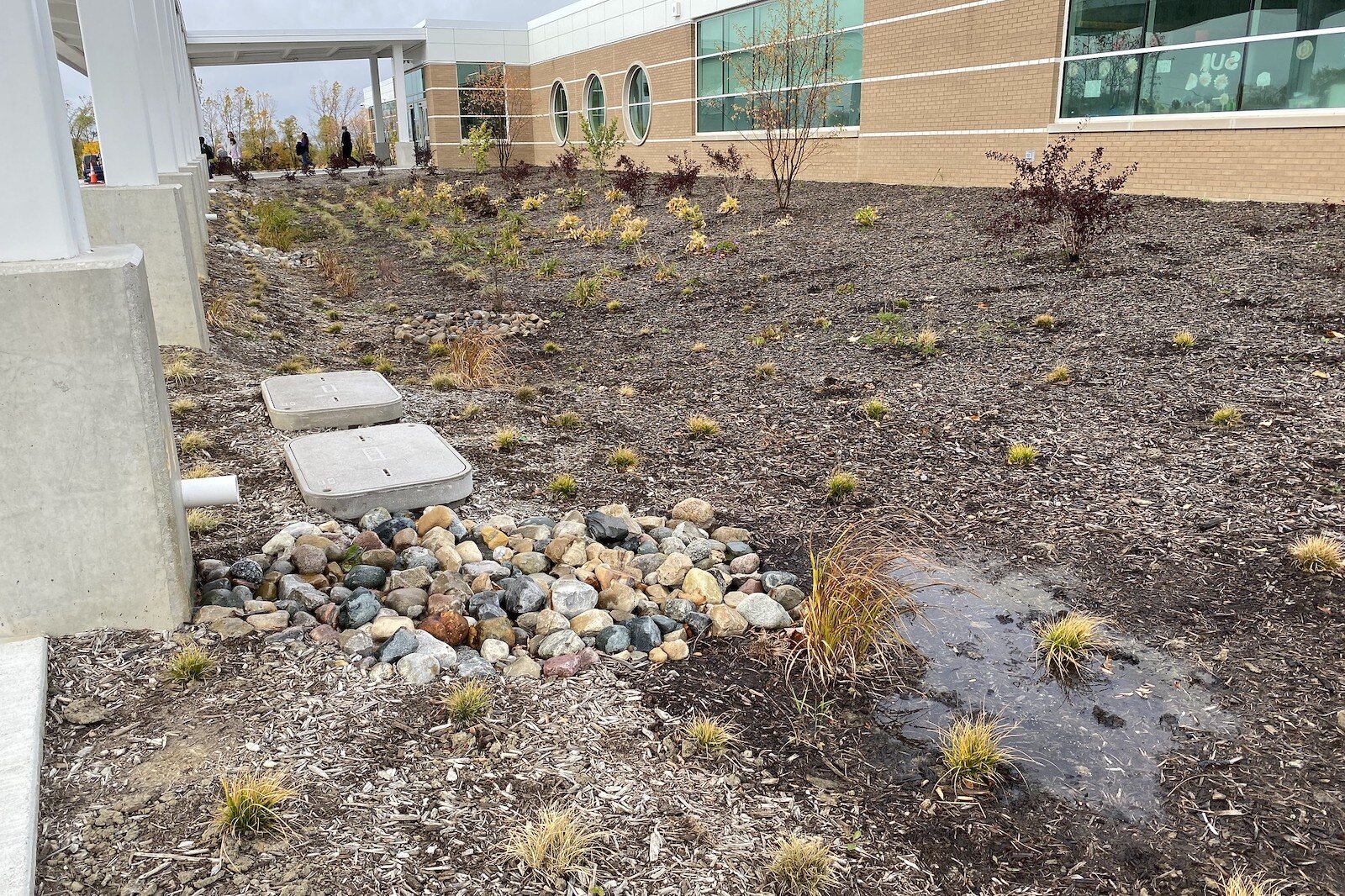 Schools use a number of different methods to capture rain water. 