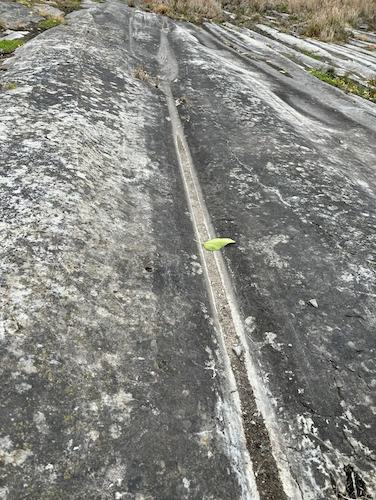 Middle Bass Island glacial grooves