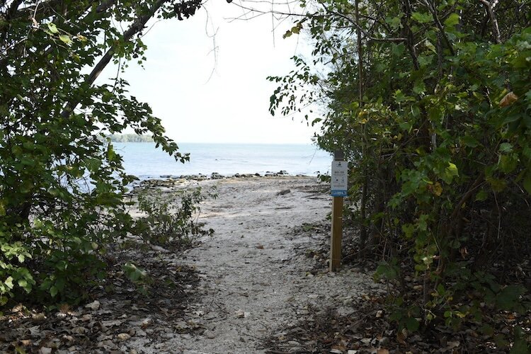 Views of the shoreline from Scheeff East Point Preserve facing northeast on South Bass Island. On a clear day, Pelee Island, Ontario, Canada is visible on the horizon.