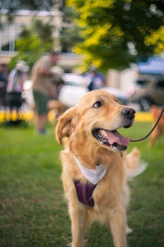 A member of Golden Greeters smiles during a Sunday meetup.