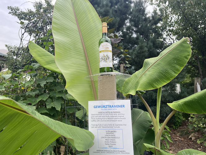 A section of the garden is dedicated to each bottle of wine with pairing notes.