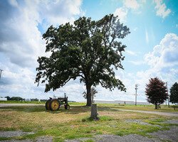 Farmer Jones Farm Market at The Chef's Garden is located at 1517 Scheid Road, Huron.