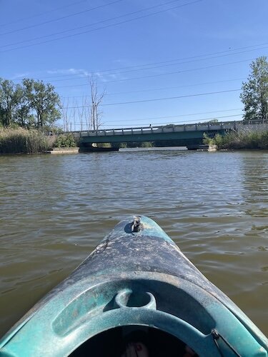 It is tranquil and mostly quiet, except for the gentle sounds of paddling and friendly banter among the group and the sounds of some of the birds flying through and sitting in the trees. 