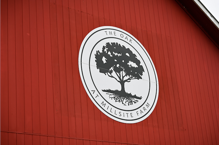 An artist's rendering of the 300-year-old oak tree that gives The Oak at Millsite Farm its name is part of the business's logo.