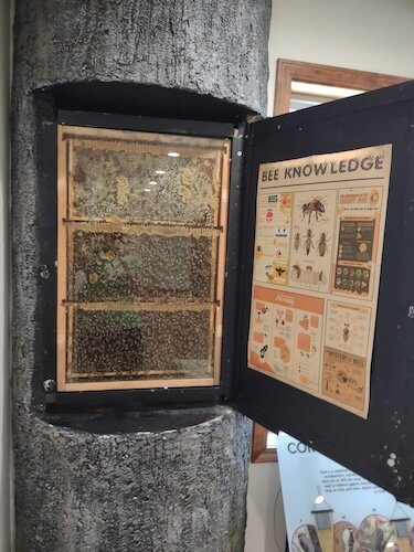 Watch the insects at work at this observation beehive at the Lake Erie Islands Nature & Wildlife Center.