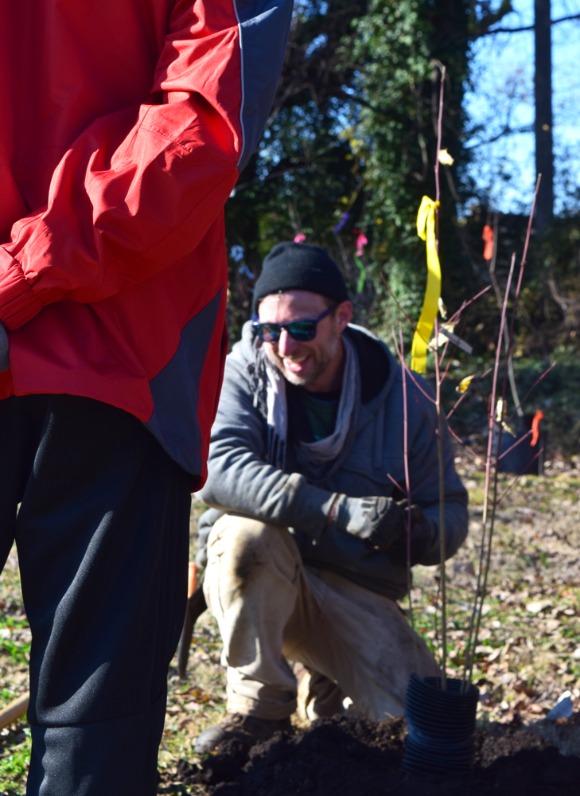 Urban ecologist Mike Larrivee explains how to properly plant a native hardwood at a December 9 planting event. (Cole Bradley)