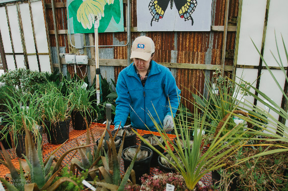 Employee Rachel Wilson tends greenery at the Urban Earth Garden Center.