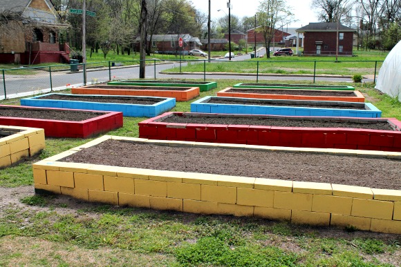 Raised cinder-block beds ready for planting at Knowledge Quest's Green Leaf Farms.