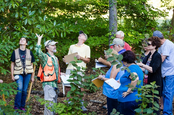Emily Cerrito, Rhodes Urban Forestry Fellow (left), and Eric Bridges, Overton Park Conservancy Operations Director, present research findings in the Old Forest to a group 