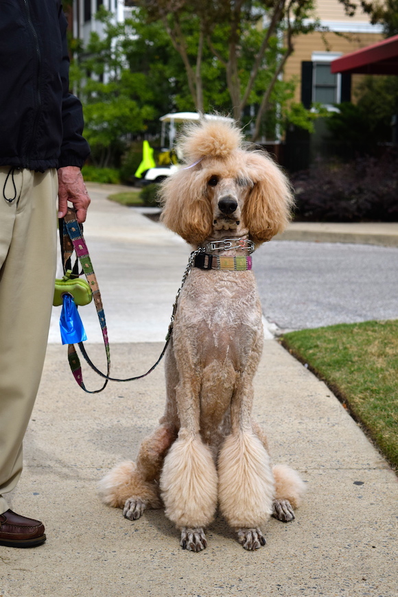 "I love it," says Bill Marty (left). "You don’t have to get in your car. You can walk to restaurants, walk along the river. It’s a wonderful place.”