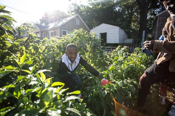 McMerton Gardens’ organizers pay kids who volunteer there out of the income that comes from selling produce at Farmer’s Markets. As with any job, it tells the kids their work is worth something. But it’s not the best part.