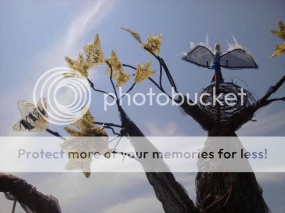 A "neo-bottle" tree in the Irrigate project