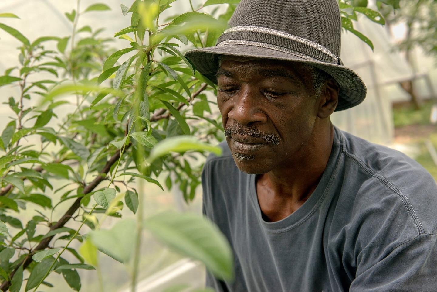 “I really am ashamed of our political leaders for not doing more to help our young people from getting involved in the underground economy,” Minnis says.