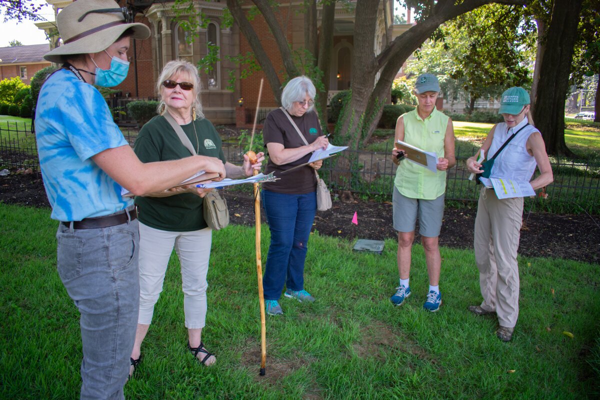 Left to right: Margaret McQuiston with Memphis City Beautiful, sponsor of the Victorian Village Arboretum, works with Memphis Botanic Garden Tree Team members Jan Castillo, Judi Shellabarger, Deb Foehring, and Linnea West to prepare for the arboretum's official certification. (HGN/Sarah Rushakoff)
