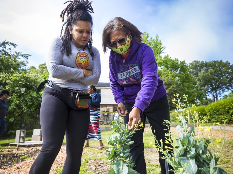 Rachel Jones (left) and Debra Lockard at the Orange Mound Orchard and urban garden, May 2021. (Ziggy Mack)
