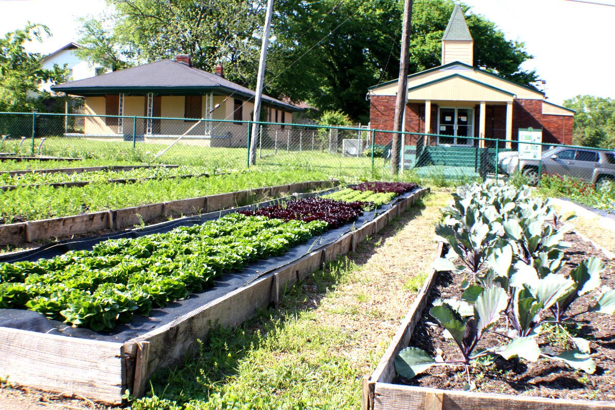 Green Leaf Learning Farm includes growing fields, an orchard, a greenhouse, a hoop house, and a coop and room to roam for their flock of eight chickens. (Cole Bradley)