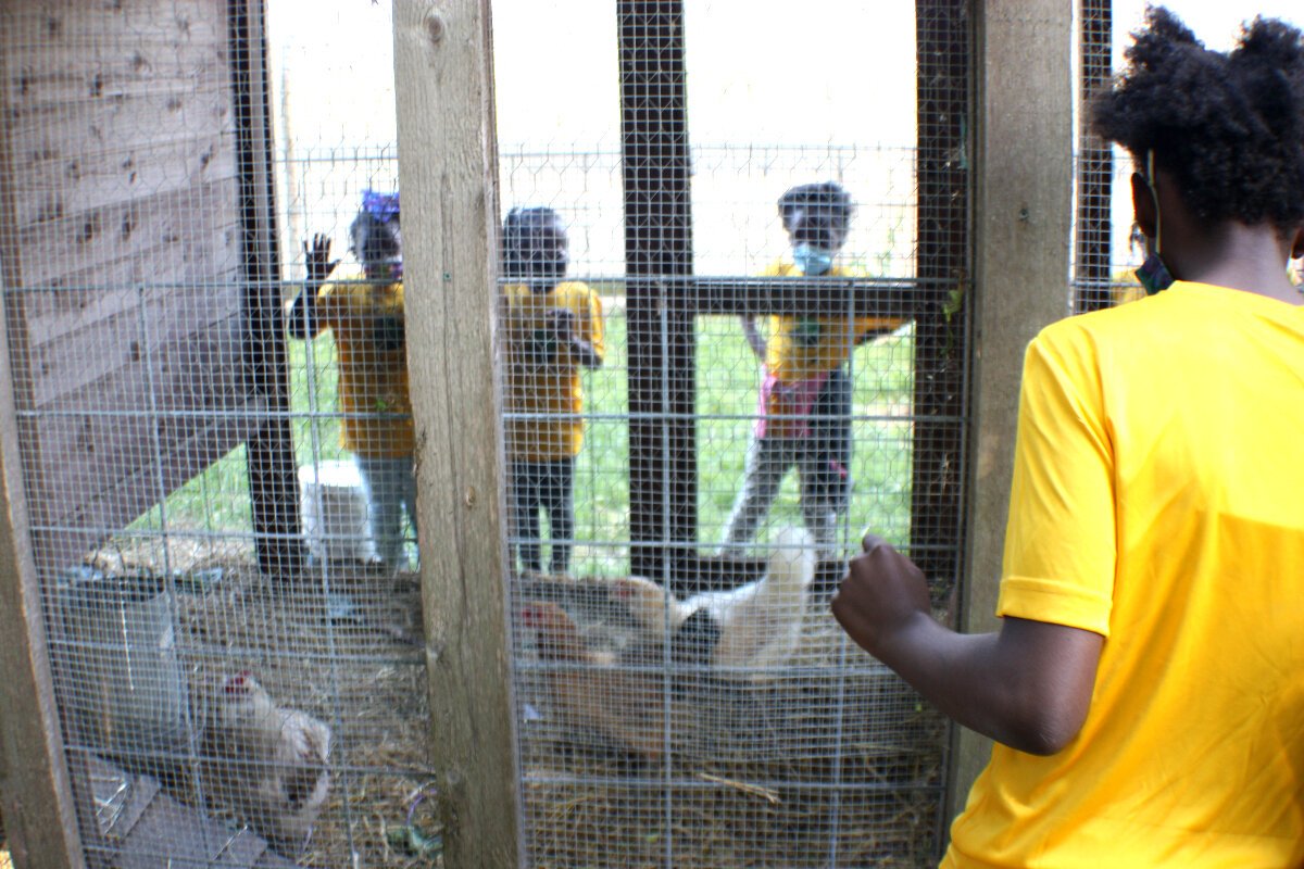 Knowledge Quest kids check out the chicken coop on their tour of the Green Leaf Learning Farm on April 22, 2021. (Cole Bradley)