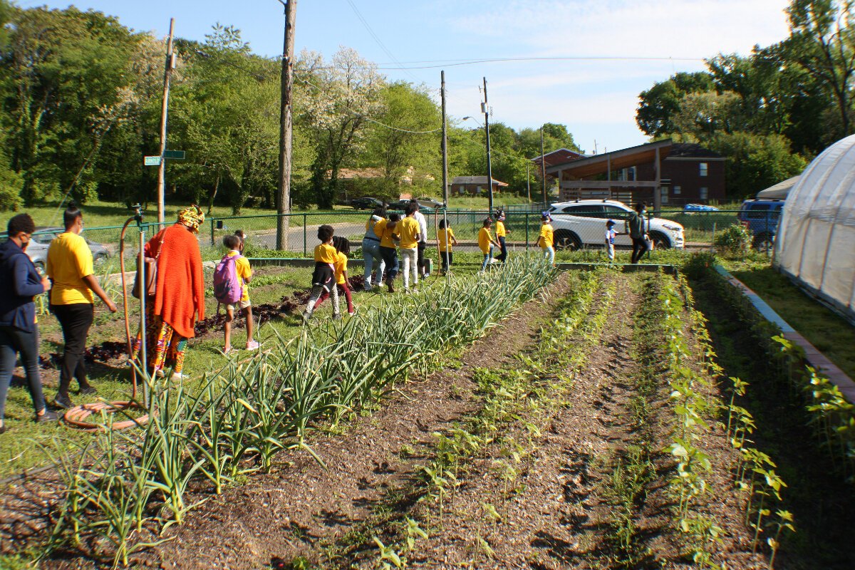 Lead Grower Cydni Moonflower led the garden tour, stopping along the way to point out different types of plants in the hoop house and fields. She answered questions about the farm's chicken flock and showed the kids how to check the nesting boxes for eggs. Davies led the discussion at the orchard and held a chicken for the kids to pet. (Cole Bradley)
