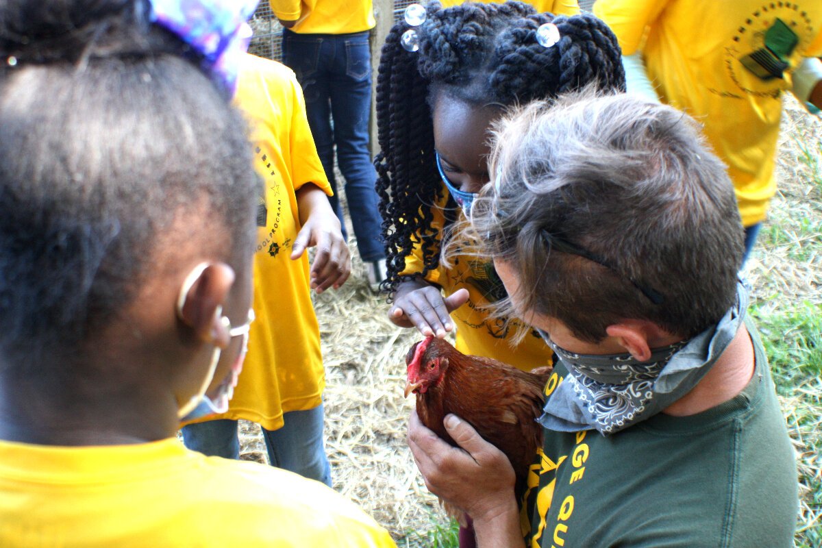 Farm Manager Theo Davies holds a chicken for Knowledge Quest students to pet during their tour of the Green Leaf Learning Farm on April 22, 2021. (Cole Bradley) 