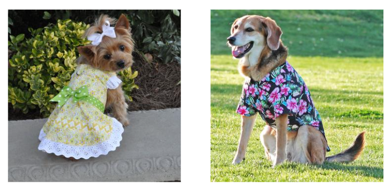 Dawg Team Apparel USA offers a wide range of apparel and accessories for dogs. (Dawg House Apparel USA) 