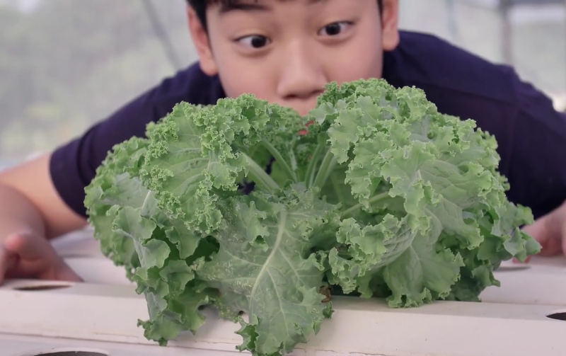 (Forever Ready Productions)