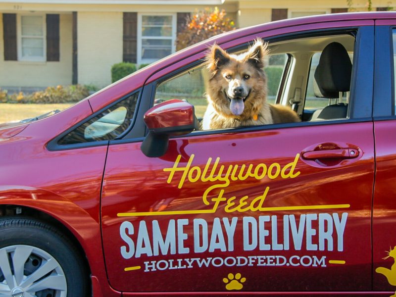 A furry friend helps with Hollywood Feed's same-day deliveries. The regional chain has expanded its same-day service through April 30. (Hollywood Feed)