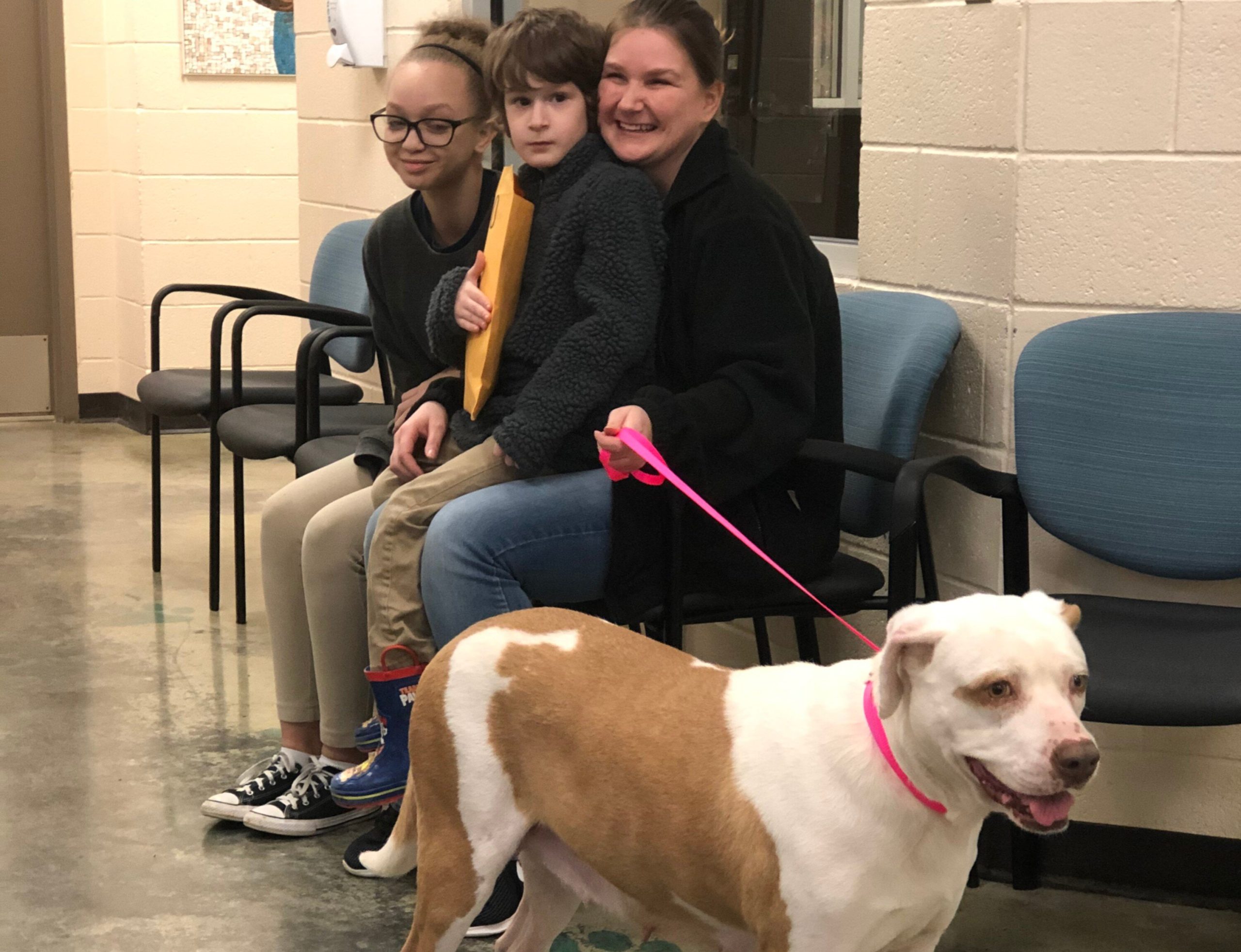 Courtney Young (right) and two of her children pose with their dog Estelle on Estelle's adoption day from Memphis Animal Services. MAS is running a $20 "Social Distancing Sidekick" adoption special through March 31. (Submitted)