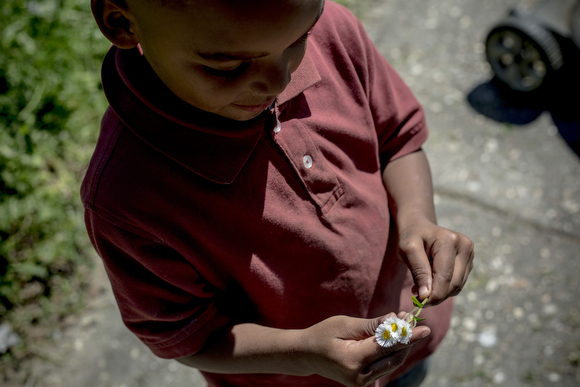 A young boy stops to enjoy a flower during a neighborhood cleanup event in  North Memphis. (High Ground News)
