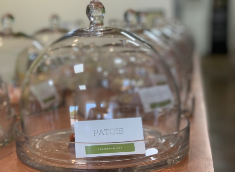 Twenty-four signature Phillip Ashley chocolates are eloquently displayed and available for purchase daily at the cafe in Madison Heights. (Brandi Hunter) 