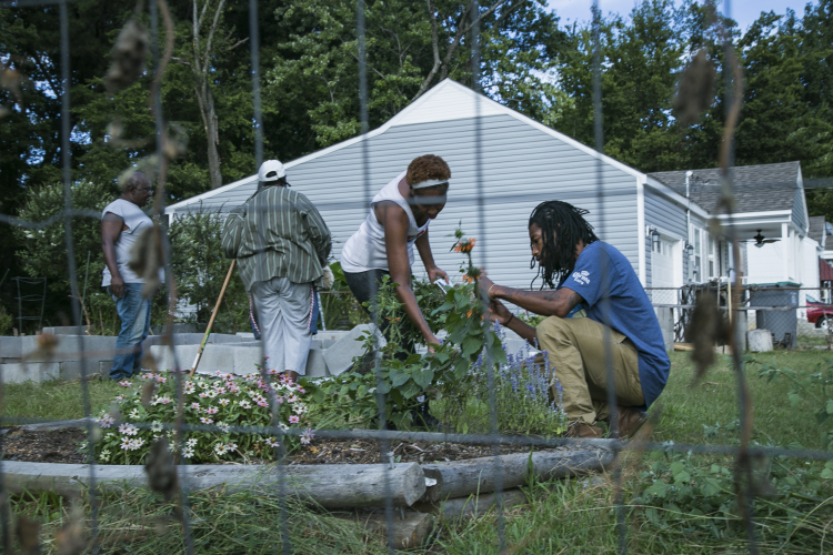 The Coleman Street Garden is cared for by its regular volunteers. (Natalie Eddings)