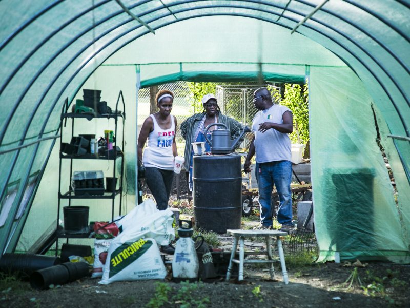 Dana Merriweather (L), Judy Conway (Center), Sidney Johnson discuss plans for the greenhouse located next to Johnson’s property on Gracewood St. (Natalie Eddings)