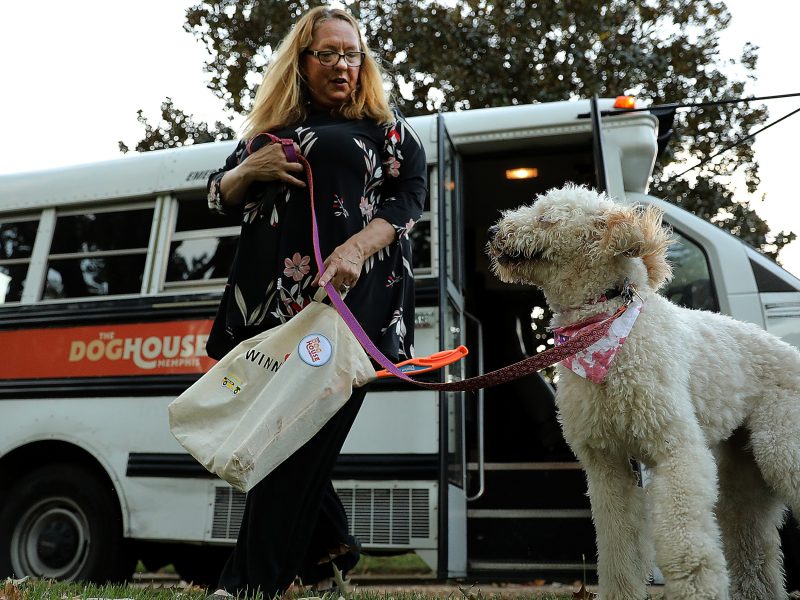 Office manager Judith Currin drops a client off at home after a busy day at daycare. A ride in the custom bus is a favorite activity for the dogs. (Patrick Lantrip/Daily Memphian)