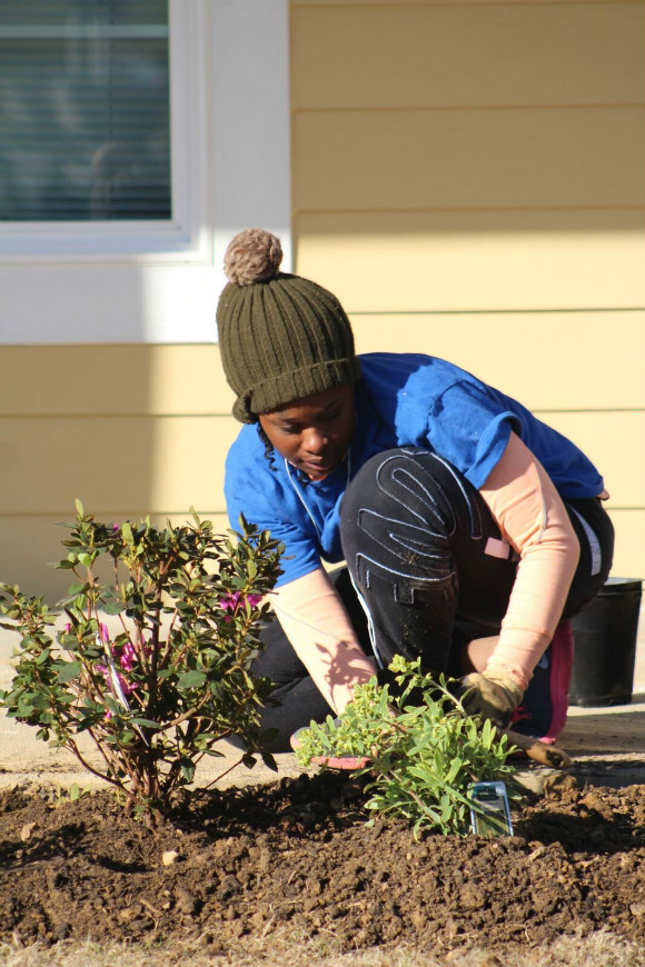 Phameshia Calico plants shrubs and flowers at her new home in Eden Square.
