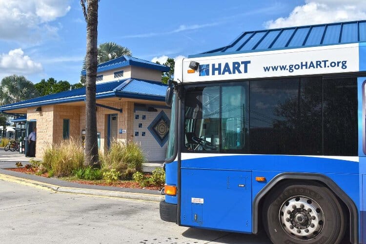 The Tampa City Council may fund a pilot program offering a year of free-fare service on HART's Route 1, which connects downtown to the USF area and is one of the bus system's busiest routes.